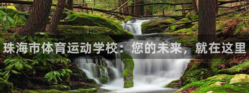 vsport体育官网下载：珠海市体育运动学校：您的未