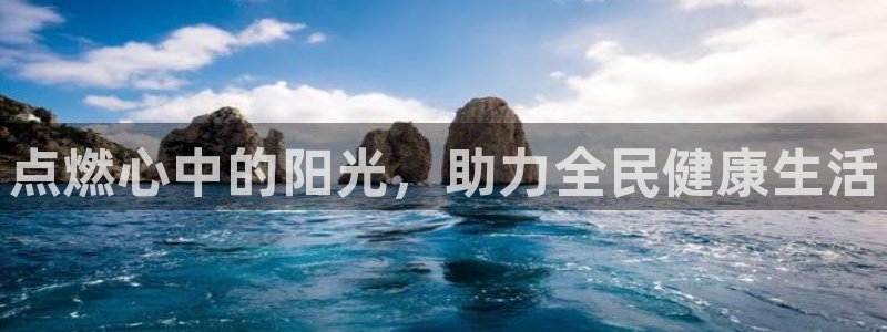 vsport体育官方正版app集团logo：点燃心中