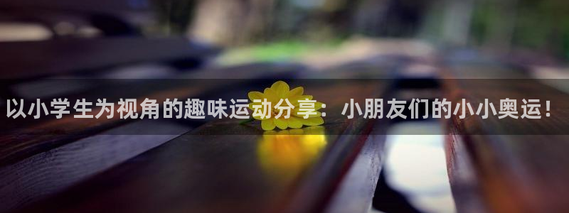vsport体育官方正版app官方：以小学生为视角的