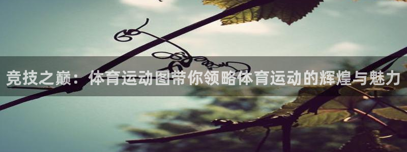 vsport体育官网下载平台假的吗是真的吗：竞技之巅