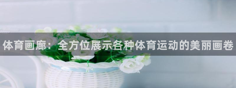 vsport体育官网下载招商电话是多少啊：体育画廊：