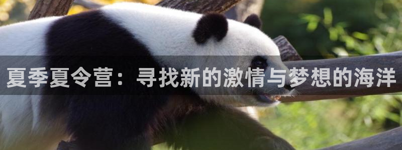 vsport体育官网下载招商电话地址是多少：夏季夏令
