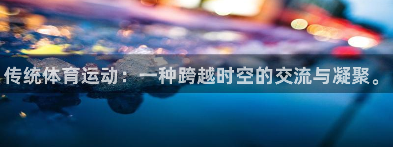 vsport体育官网下载平台注册流程视频：传统体育运动：一种