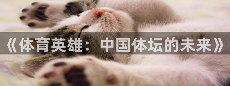 vsport体育官方正版app娱乐首页网站大全：《体育英雄：