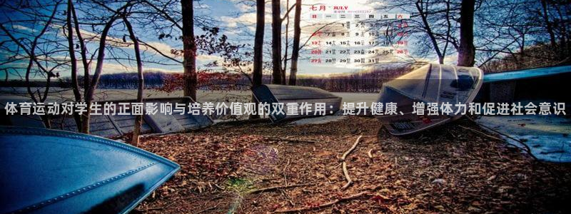 vsport体育官方正版app集团官网首页网址：体育