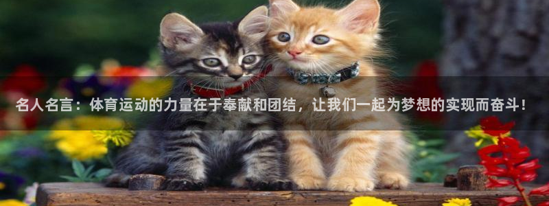 vsport体育官方正版app集团E.ON：名人名言：体育运