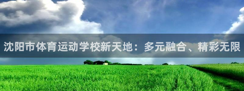 vsport体育官网下载平台APP：沈阳市体育运动学校新天地