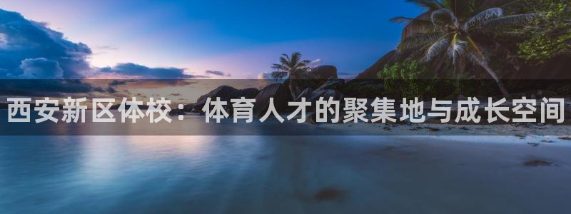 vsport体育官方正版app集团官网网址