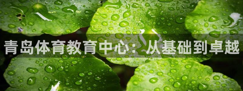 vsport体育官网下载平台假的吗是真的吗吗：青岛体育教育中