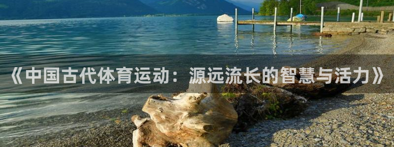 vsport体育官方正版app官网：《中国古代体育运