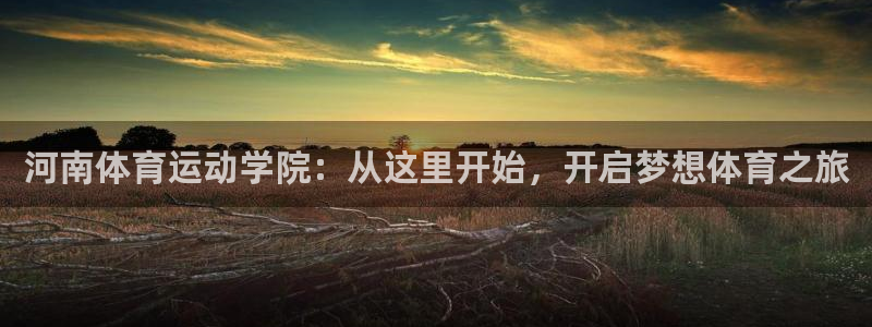 vsport体育官方正版app集团官网首页网址：河南体育运动