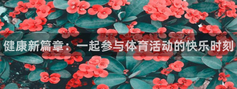 vsport体育官网下载招商电话是多少号码：健康新篇章：一起