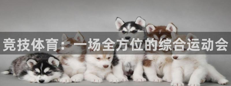 vsport体育官网下载是干嘛的公司：竞技体育：一场全方位的