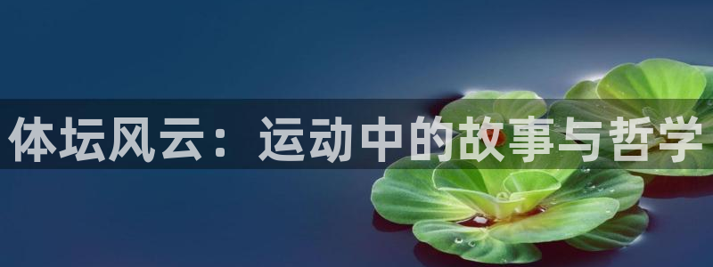 vsport体育官方正版app娱乐首页网站大全：体坛风云：运