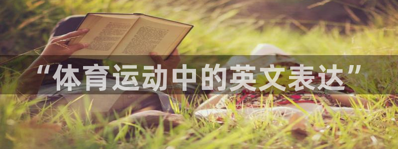 vsport体育官方集团官网