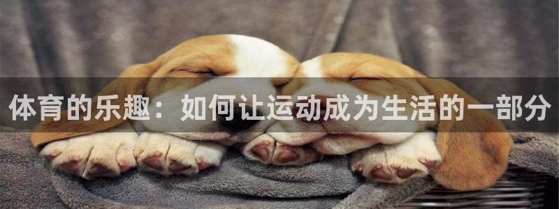 vsport体育官网下载平台是正规平台吗