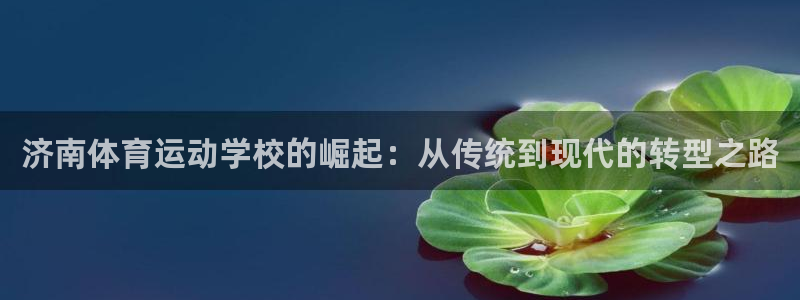 vsport体育官方正版app娱乐是那个系列的台子：济南体育