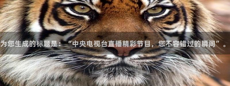 so米体育直播在线观看直播nba