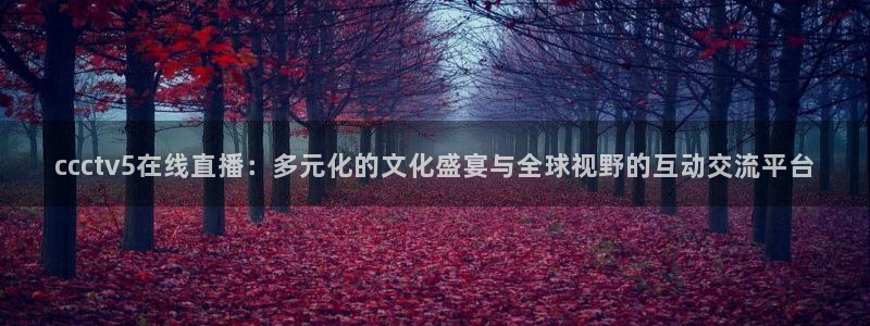 so米体育直播在线观看直播