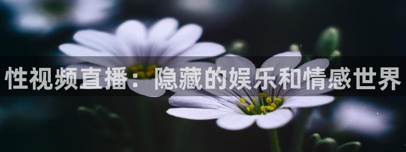 so米直播体育直播下载