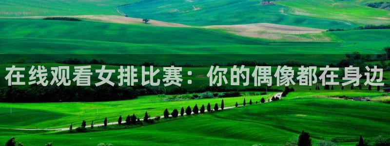 篮球so米直播