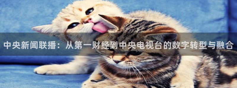 so米体育直播免费下载：中央新闻联播：从第一财经到中央电视台的数字转型与融合