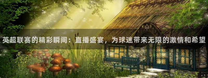 so米体育直播吧：英超联赛的精彩瞬间：直播盛宴，为球迷带来无限的激情和希望
