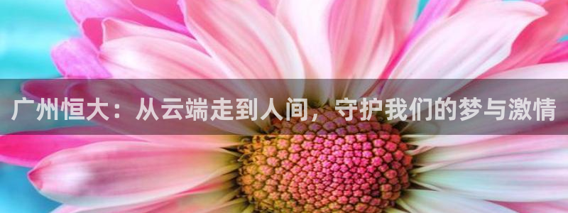so米体育直播nba赛事：广州恒大：从云端走到人间，守护我们的梦与激情