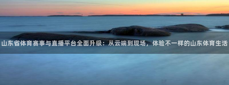 so米足球直播免费观看