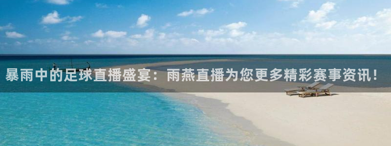 so米体育直播免费下载：暴雨中的足球直播盛宴：雨燕直播为您更多精彩赛事资讯！