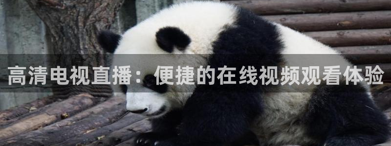 so米体育直播间：高清电视直播：便捷的在线视频观看体验
